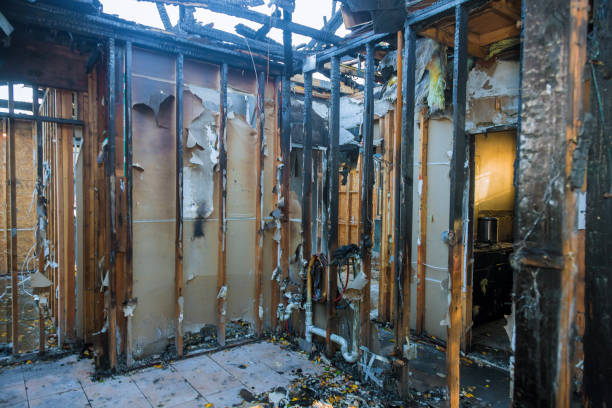 Professional Fire Damage Removal technician working in Mayville, ND